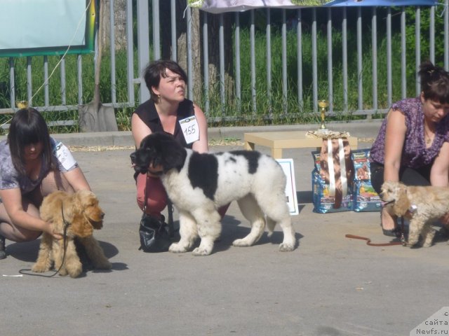 Фото: Диана Шестопалова