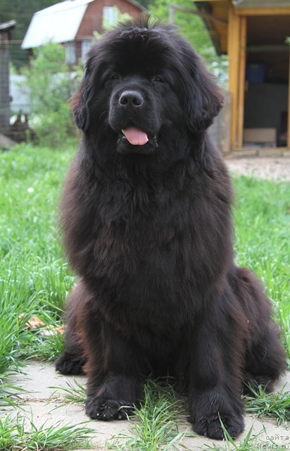 Фотография № 95745