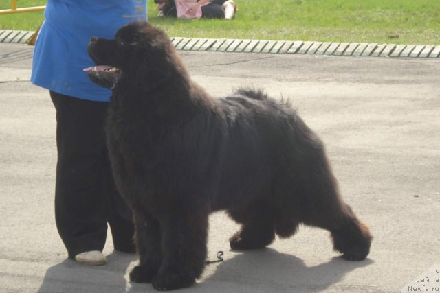 Фотография № 95747