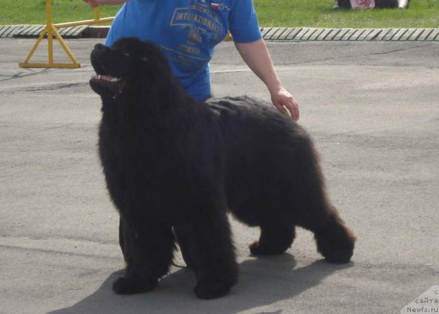 Фотография № 95748