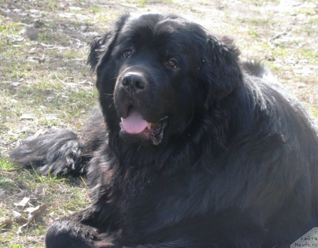 Фото: Кирилл Семенихин