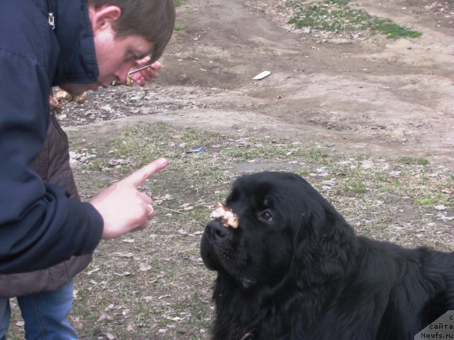 Фото: Блэк Повелитель морей из Тихого омута, Кирилл Семенихин