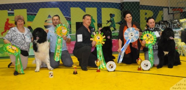 Фотография № 95795