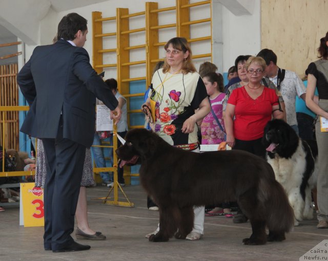 Фотография № 95799