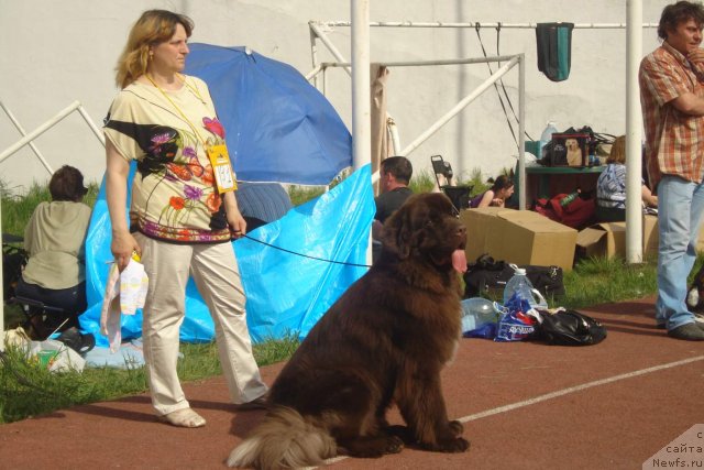 Фотография № 95800