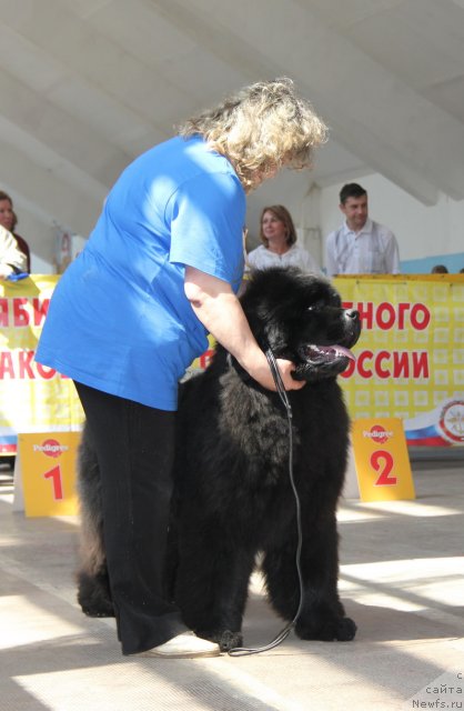 Фотография № 95801