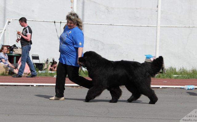 Фотография № 95802