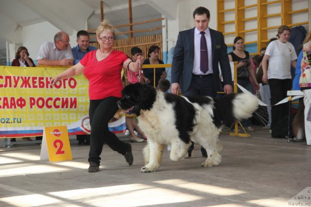 Фотография № 95803