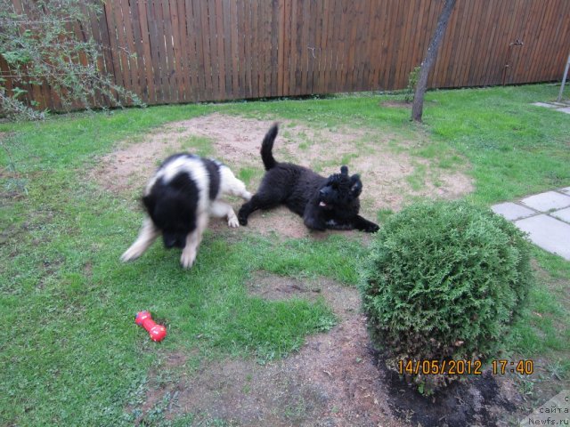 Фото: Кай и Маруська