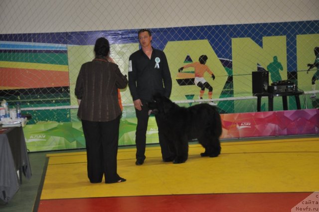 Фотография № 95816