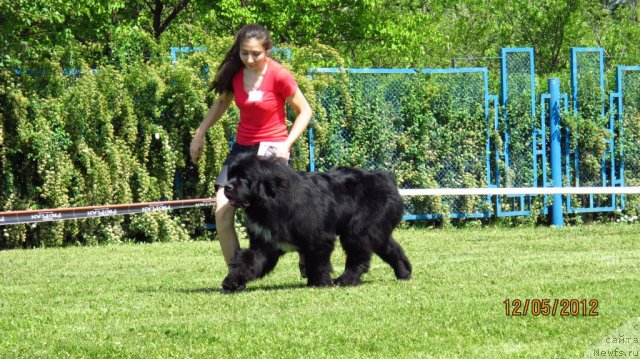 Фото: Vartimey Vialiki Miadzvedz