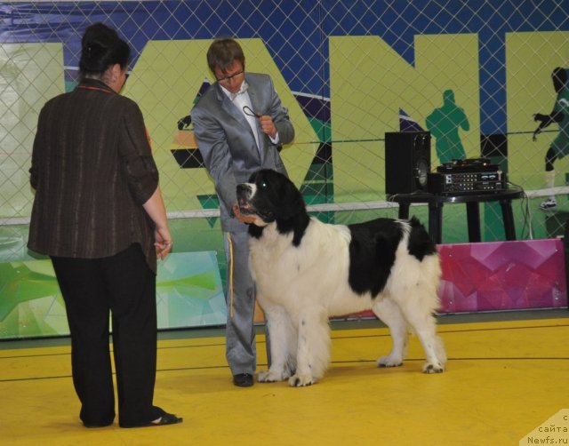 Фотография № 95820