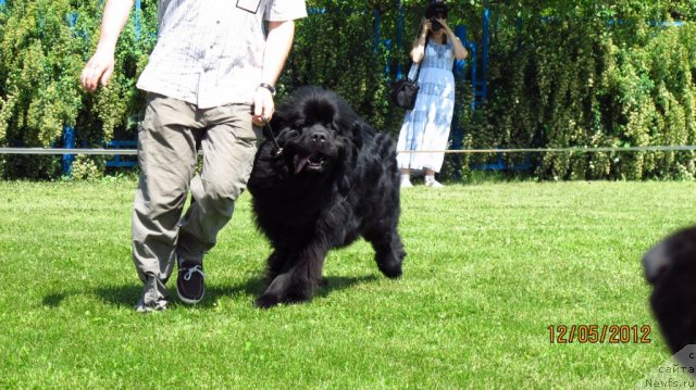 Фотография № 95821