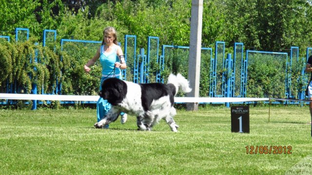 Фотография № 95822