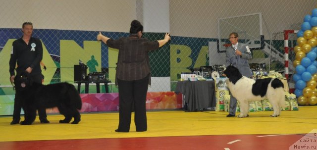 Фотография № 95825