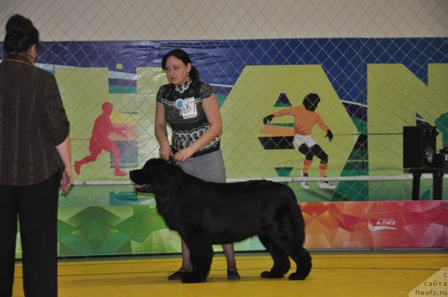 Фотография № 95828