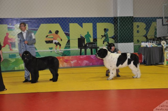 Фотография № 95829