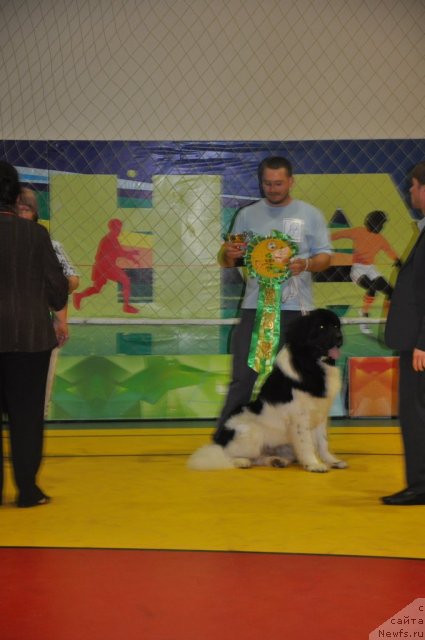 Фотография № 95835