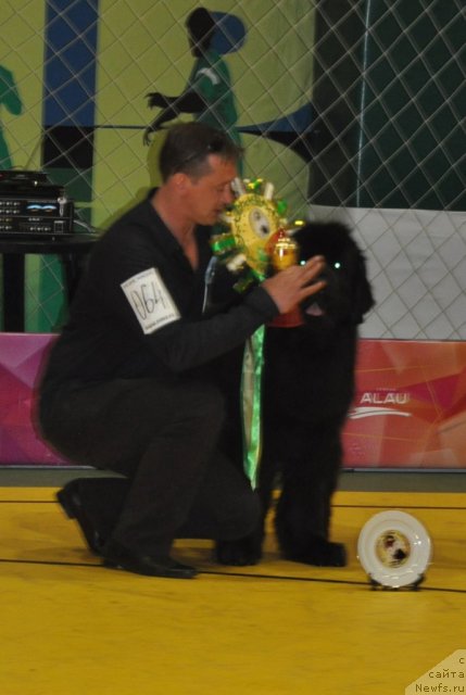 Фотография № 95836