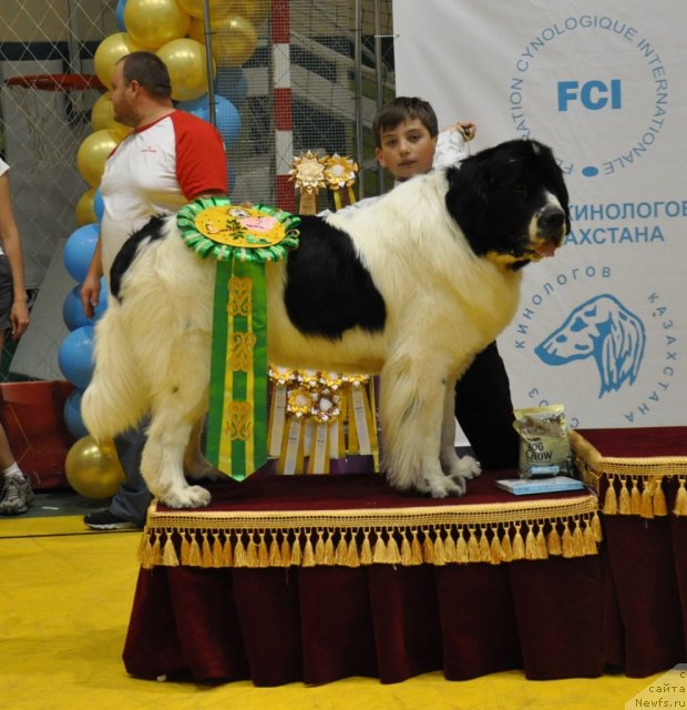 Фотография № 95838