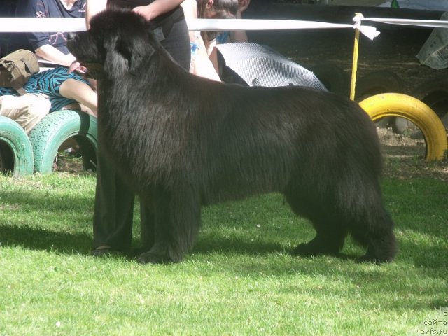 Фотография № 95884