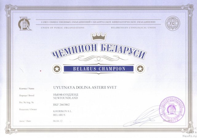 Фото: ньюфаундленд Уютная Долина Астерии Свет (Uyutnaya Dolina Asterii Svet)