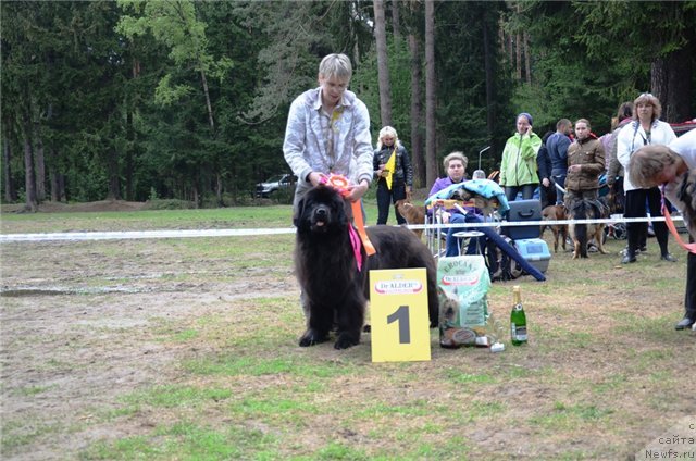 Фотография № 95898