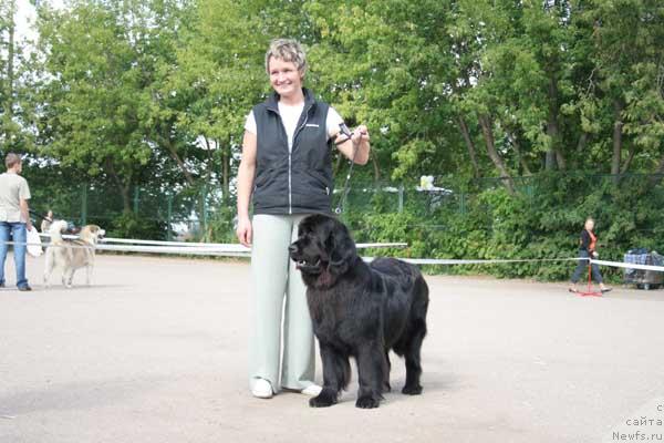 Фото: ньюфаундленд Elfa Eriadna