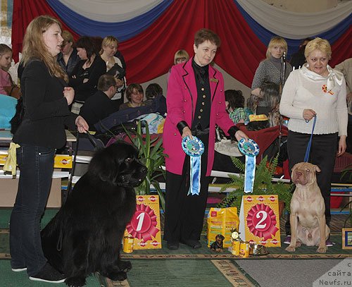 Фотография № 95904