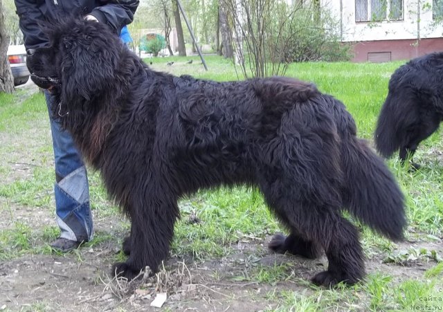 Фотография № 95956