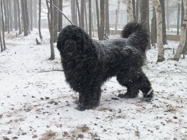 Фотография № 95996