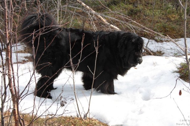 Фотография № 96031