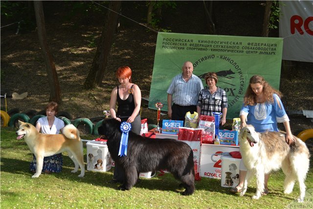 Фотография № 96062