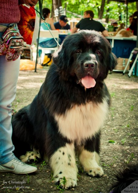 Фотография № 96063