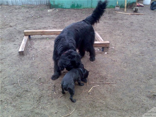 Фотография № 96067