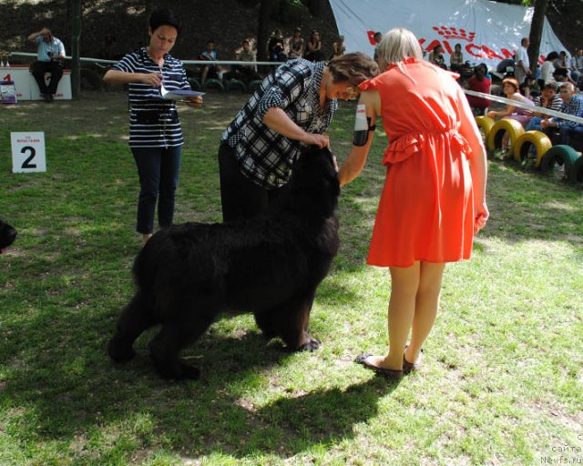 Фотография № 96084