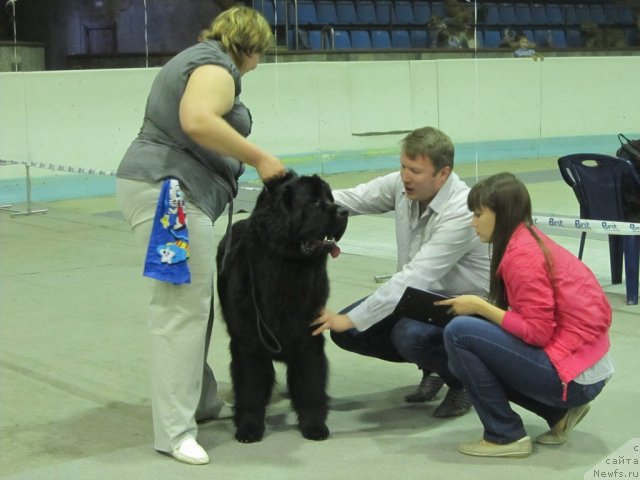 Фотография № 96093