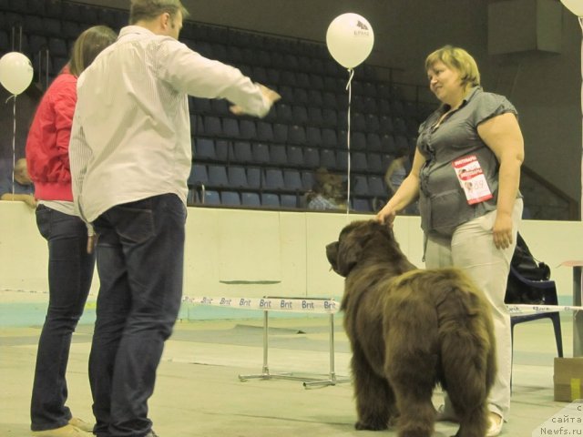 Фотография № 96094