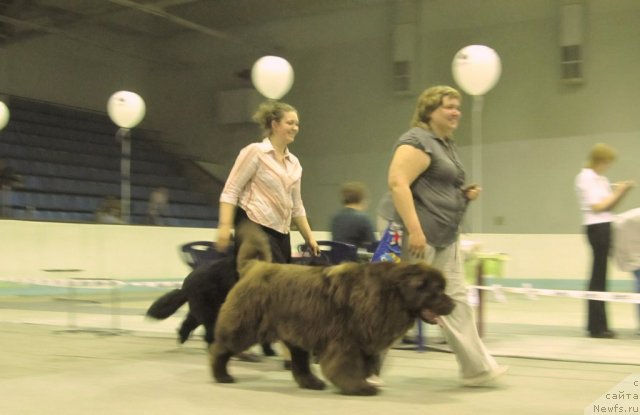 Фотография № 96095