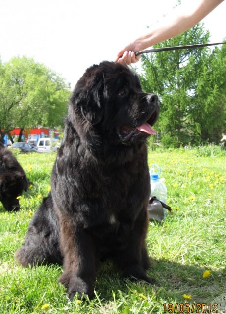 Фотография № 96096