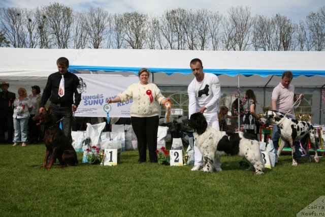 Фотография № 96120