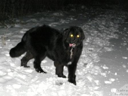 Фотография № 9615