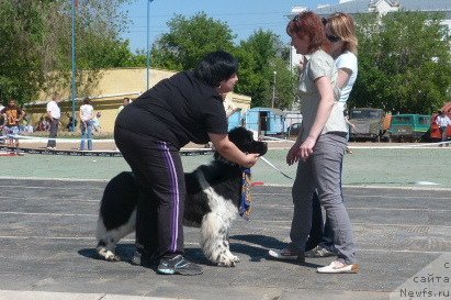 Фотография № 96178