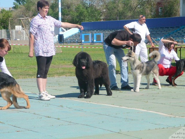 Фотография № 96181