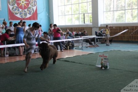 Фотография № 96183