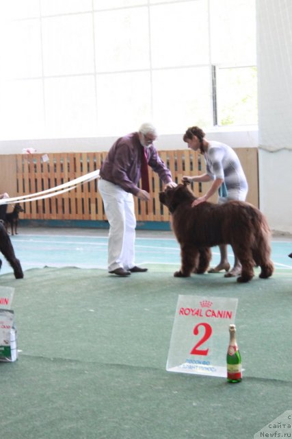 Фотография № 96184