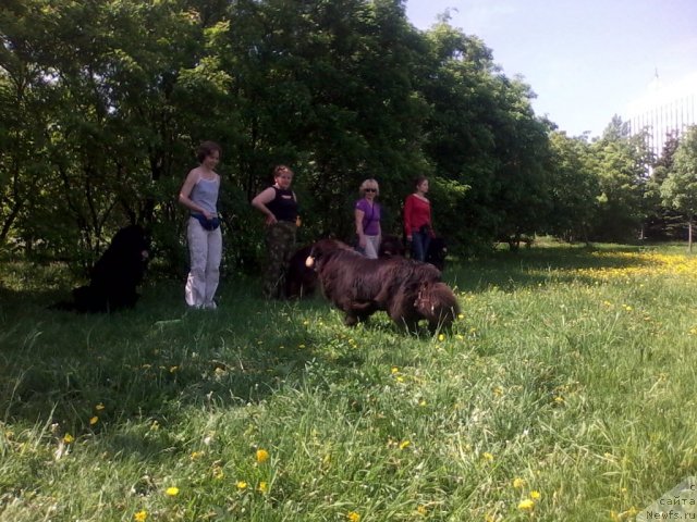 Фотография № 96187