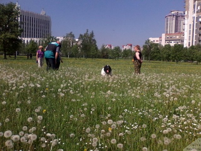 Фотография № 96188