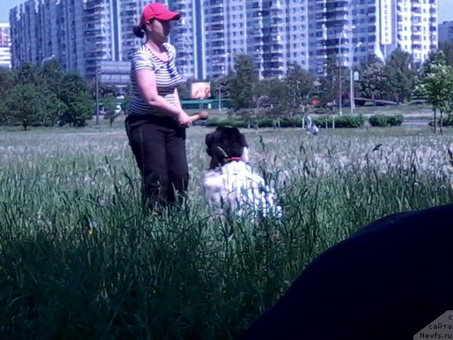 Фотография № 96189