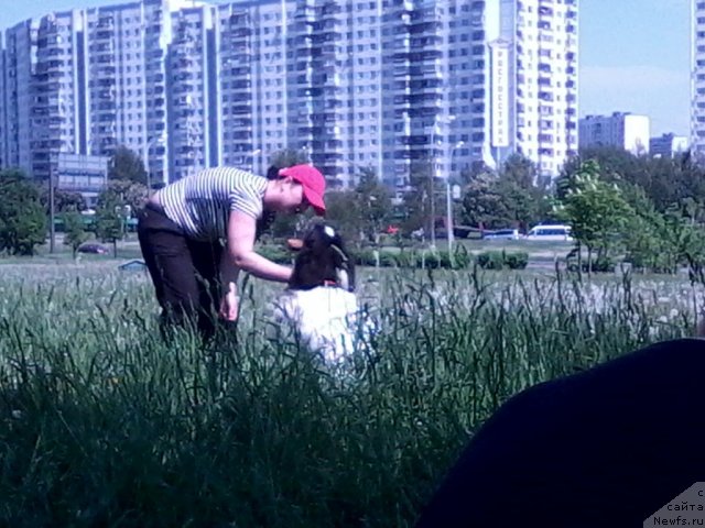 Фотография № 96190